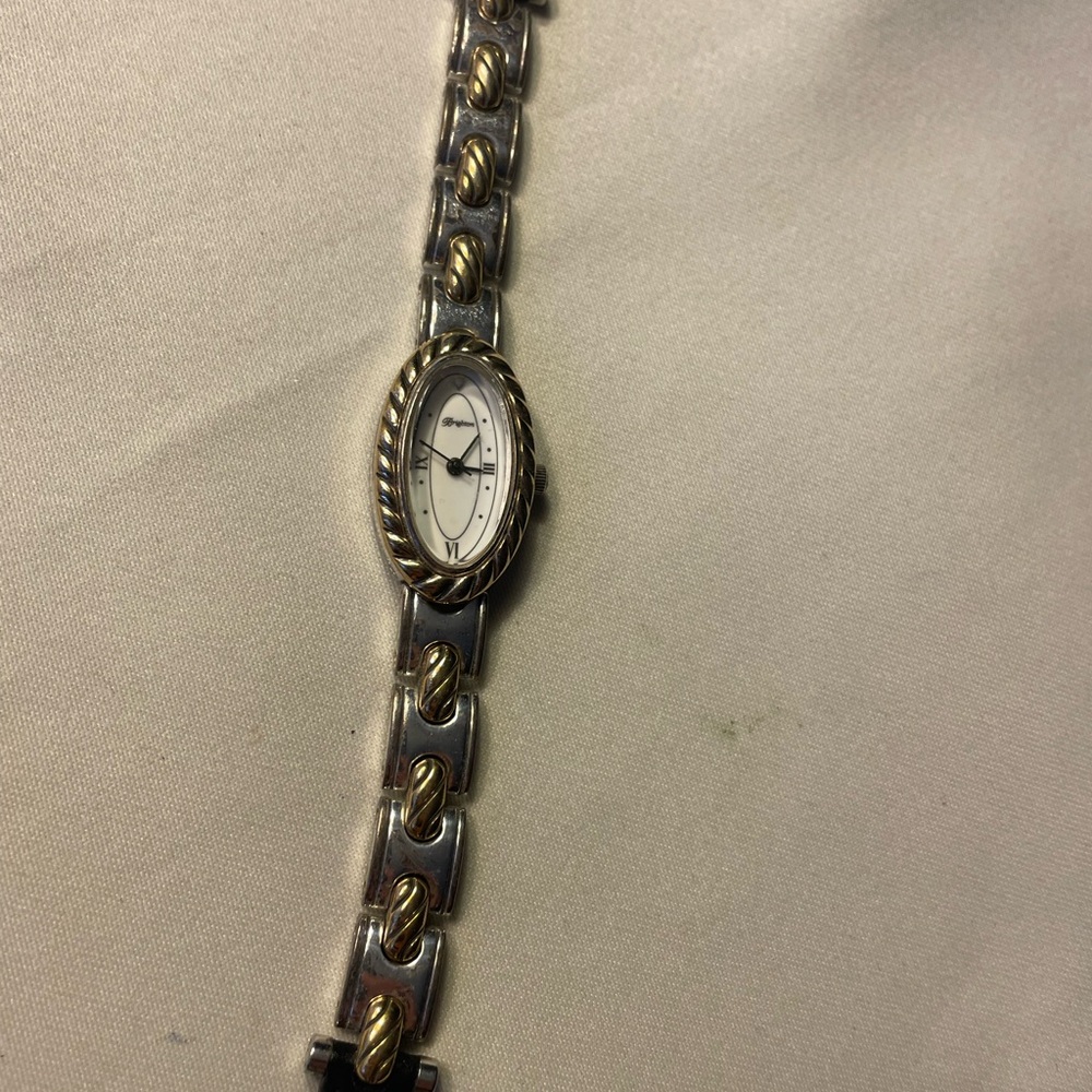 Brighton watch